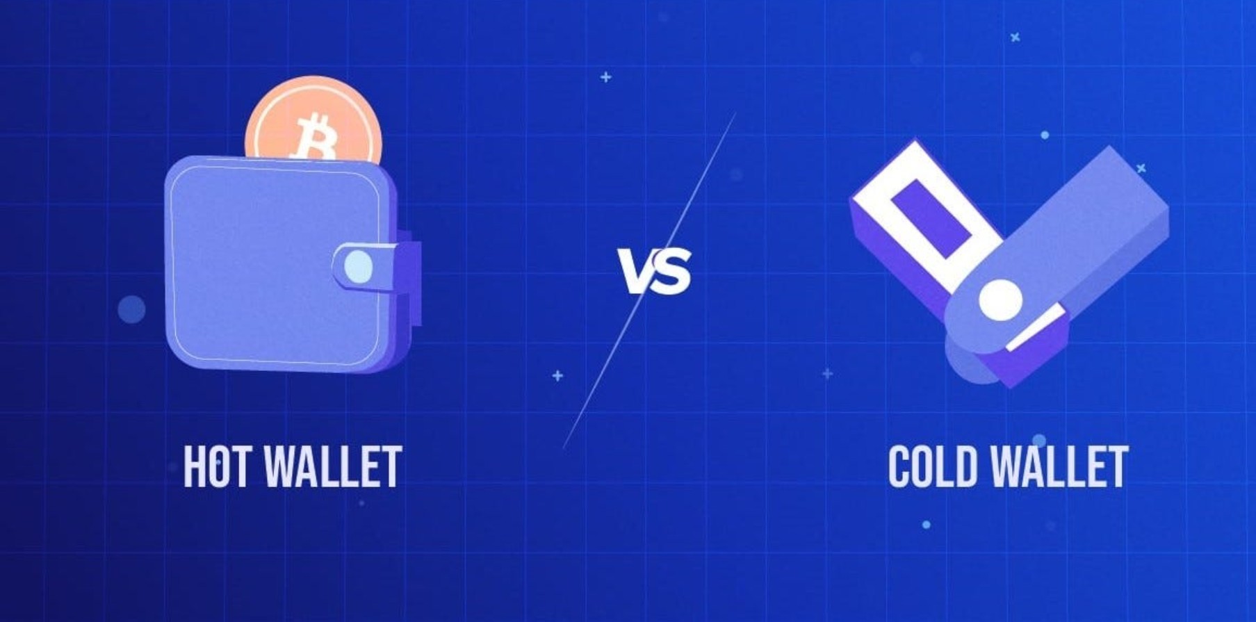 Hot Wallets vs Cold Wallets: Which One Matches Your Crypto Use